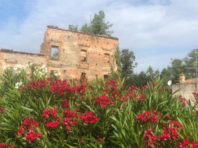 Bed and Breakfast Antico Borgo Di Liteggio Cologno al Serio Exterior foto